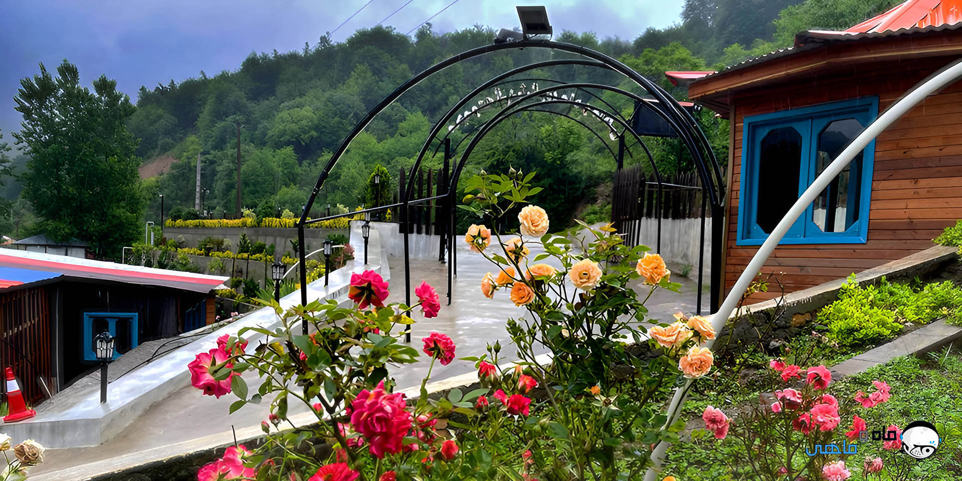 ماه و ماهی