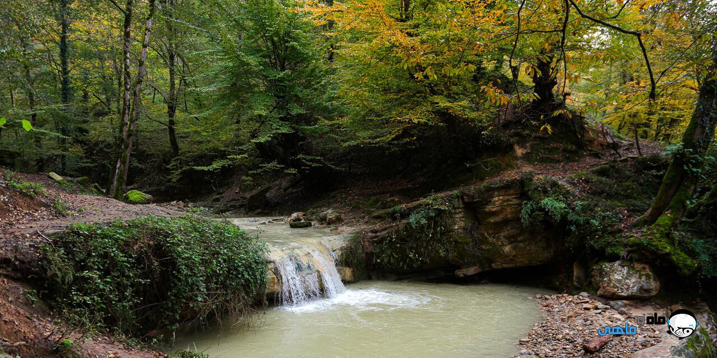 ماه و ماهی