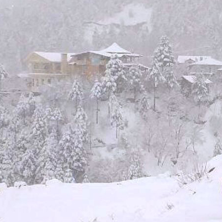 لحظاتی رویایی در دل جنگل‌های برفی رامسر...!