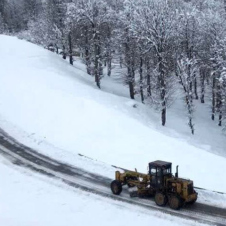 فرصتی برای زندگی دوباره