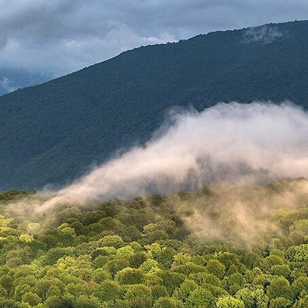 مسیرِ سبز؛ گردشگری و میراث فرهنگی در مازندران